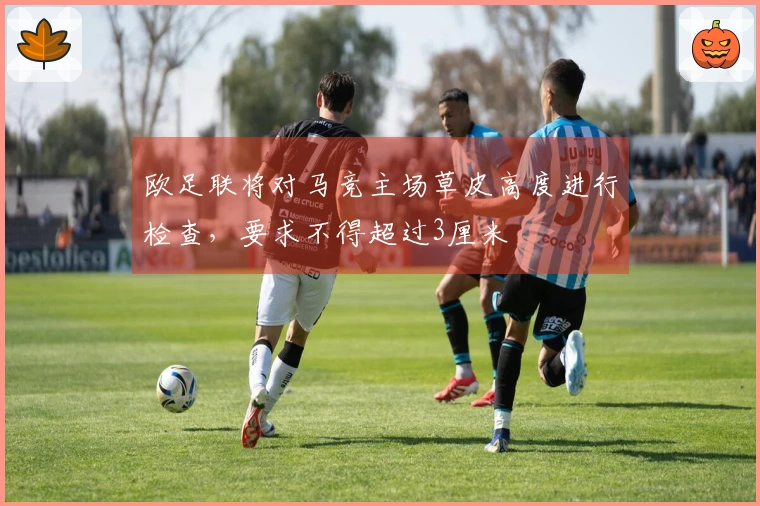 欧足联将对马竞主场草皮高度进行检查，要求不得超过3厘米